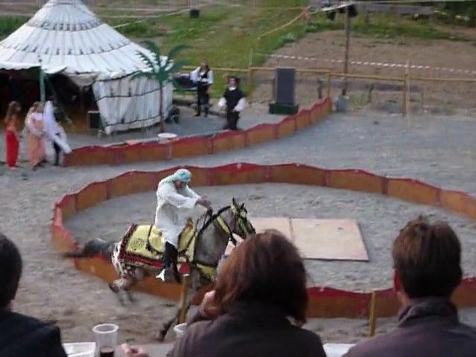 Les fantasias de Salmiech 2010 l'étalon Ouali