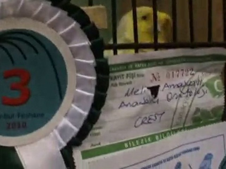 1.feshane ınternatıonal exıbıtıon centre ıstanbul 3