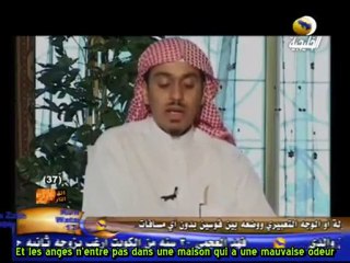 LES CHIENS font Fuir les Anges