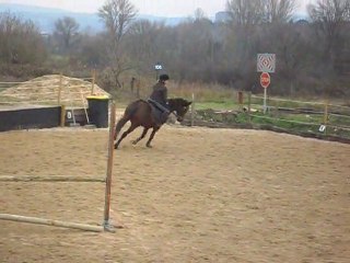 Domaine De Cheyenne. 28.11.2010 Stage Obstacle ♥