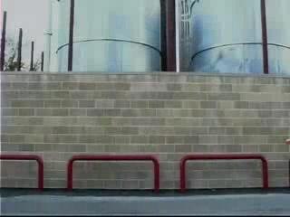 The Vandals "I am Crushed"