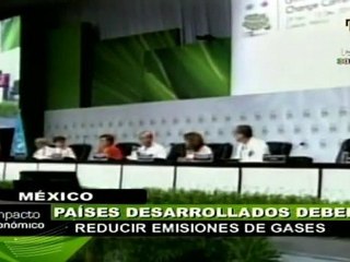 Cumbre climática podría salvar miles de especies aprobando medida contra deforestación