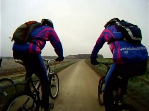 cochons du 28-11-2010