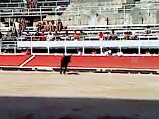 PERNEN Arles le 28 juillet