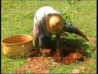 Coeur de Forêt Projet Madagascar 2006