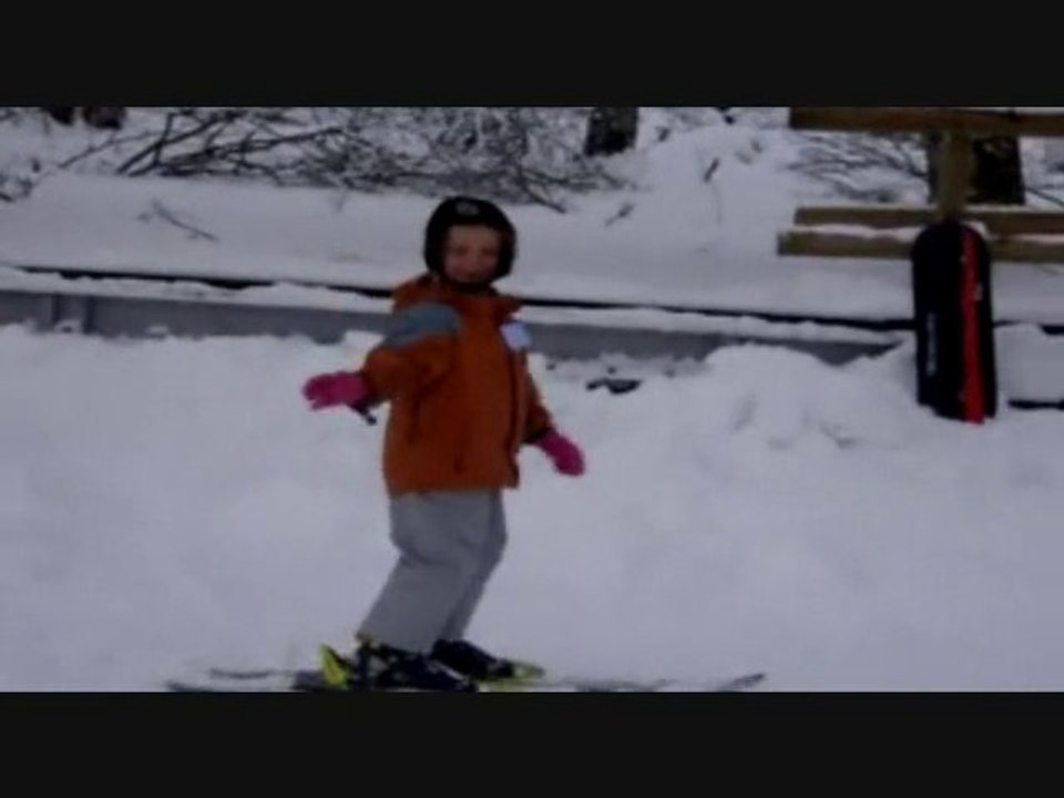 Loges des gardes 28.11.10