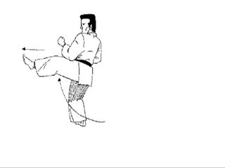 Tai Jitsu Kata Shodan
