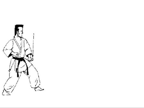 Tai Jitsu Kata Nidan