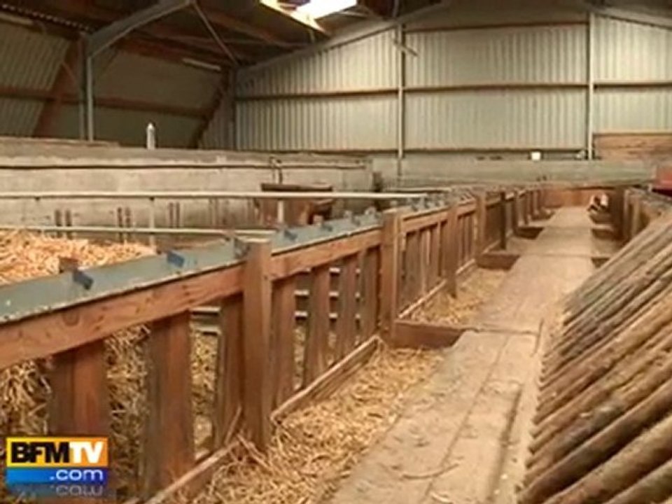 Tempête Xynthia : dernier délai pour les sinistrés