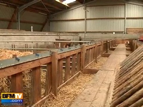 Tempête Xynthia : dernier délai pour les sinistrés