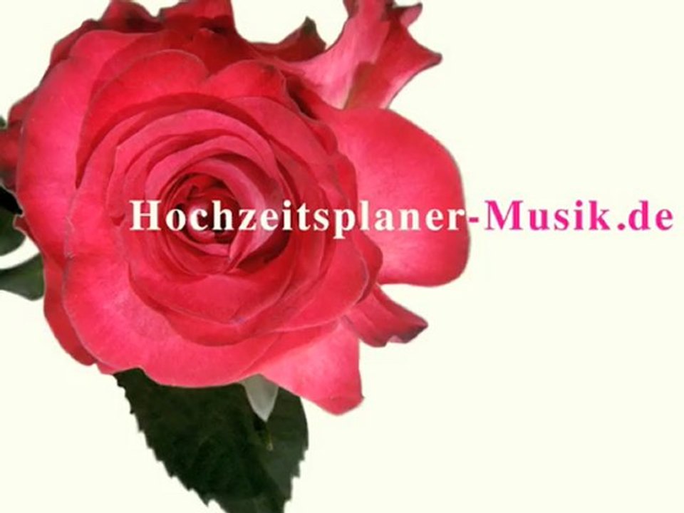Hochzeitsplaner