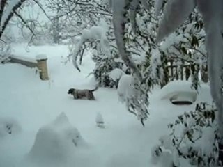 RUBIS SOUS LA NEIGE 01-12-2010