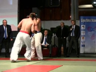 Pro Fight Karate - Finale Lourds - Toulon 2010