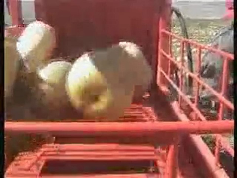 Kabak Çekirdeği Çıkarma Makinesi