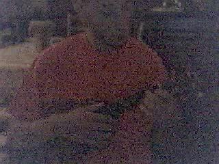 the waves' voices song (ukulele)