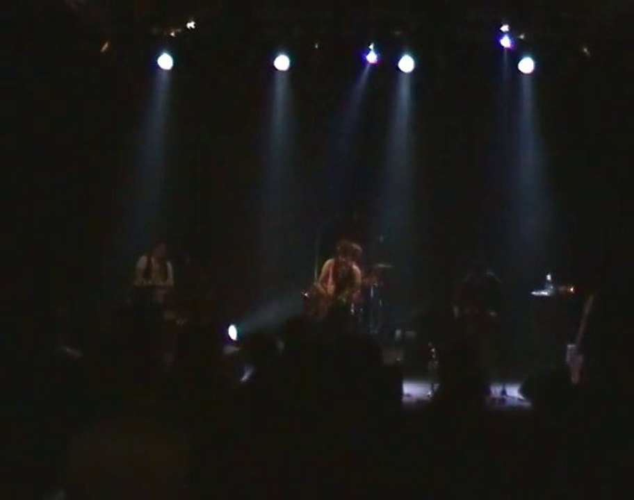 Printemps de Bourges 2011 : auditions (Elephanz)