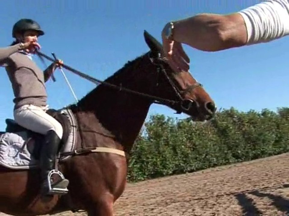 L'obstacle avec des rênes "fluides"