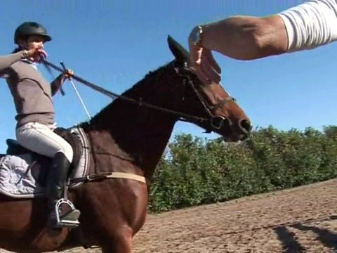 L'obstacle avec des rênes fluides