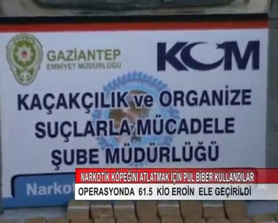 6-EROİN