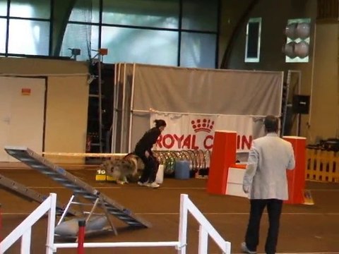 Awak 3degrè Lalande 2010