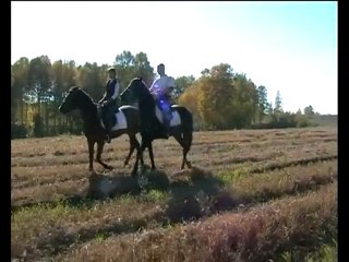 "Не ревнуй меня к осени", Сергей Бусыгин, Россия,Новокузнецк