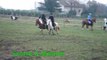Pony mounted games Brigade des stup's