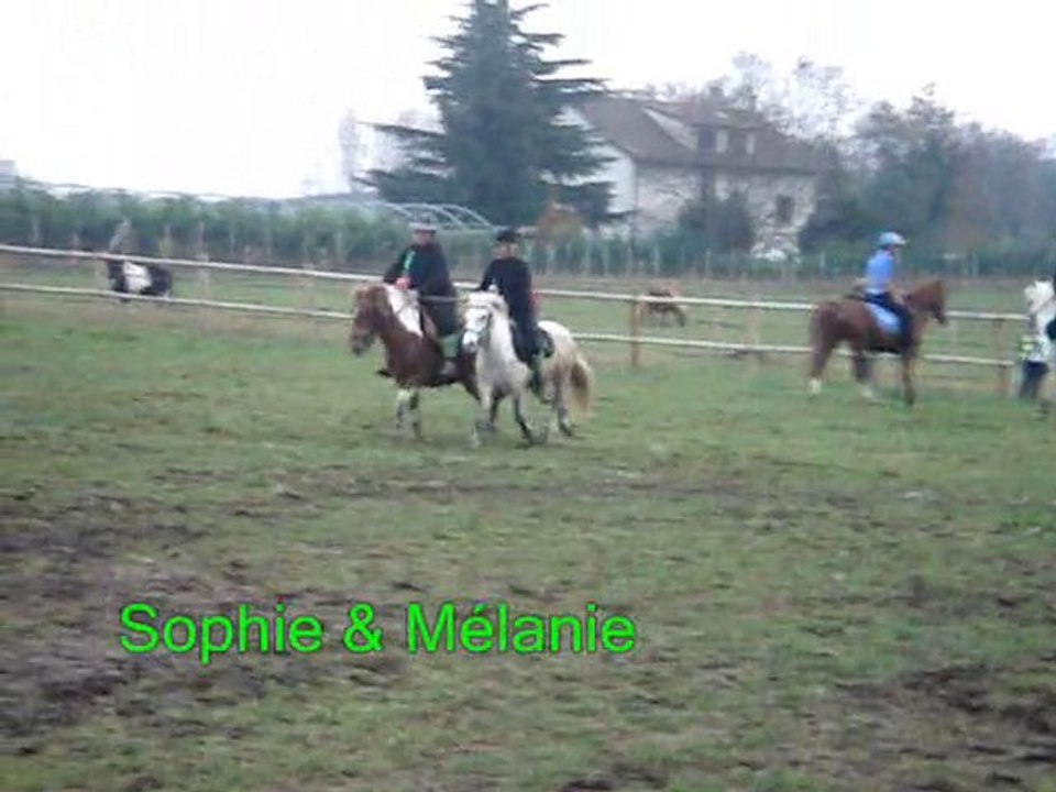 Pony mounted games Brigade des stup's