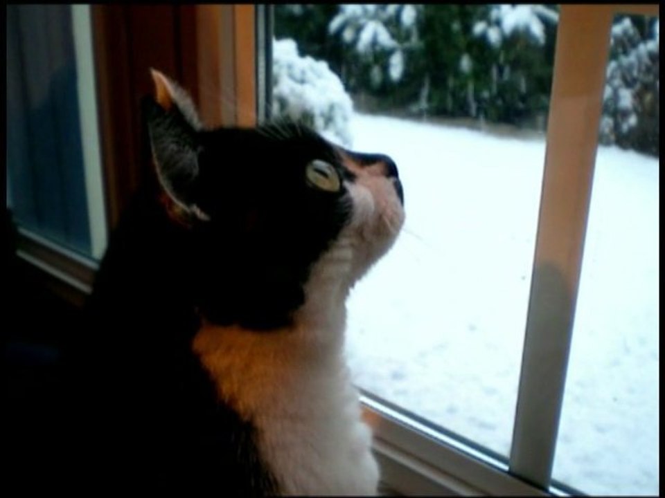 mimine_watching_snow