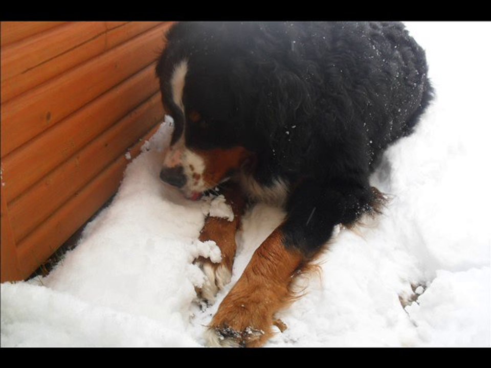 Mon amour dans la neige.. ♥