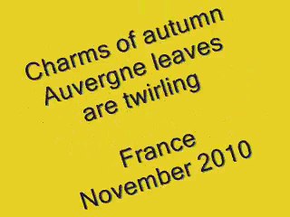 Automne en Auvergne♥ les Feuilles virevoltent ~Vidéo Pat