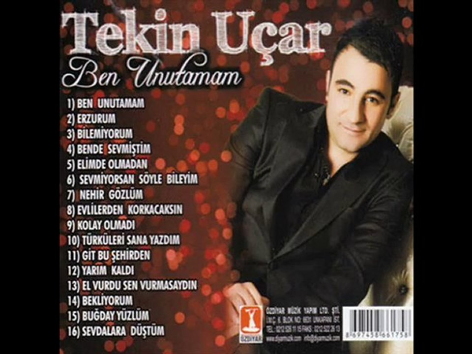 Tekin Uçar - Bende Sevmiştim