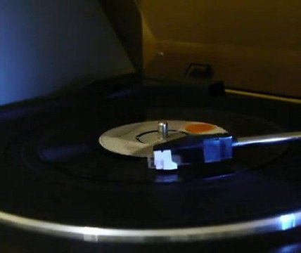 Bu Nasıl Aşk Böyle - Neşe Karaböcek