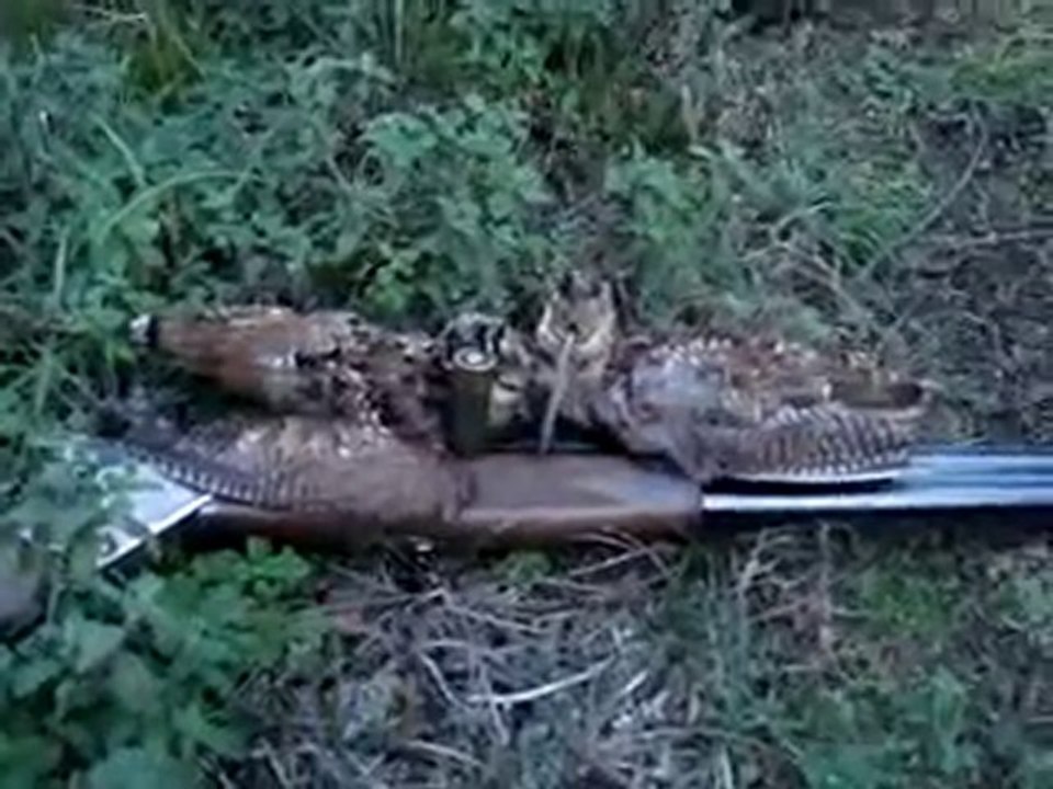 MOV00677_mpeg4