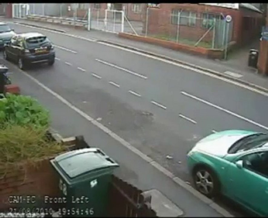 Cat thrown in bin by complete stranger