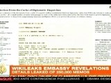 Wikileaks filtra documentos sobre Irán y mineras venezolanas