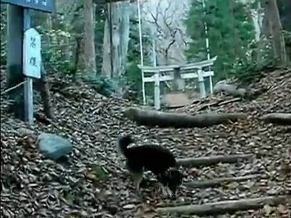 初冬の本山