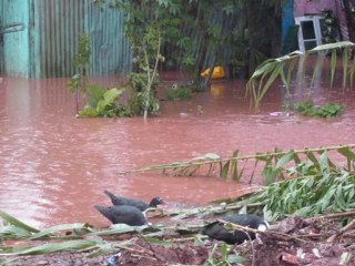 Festivals contre la pauvreté 🎉