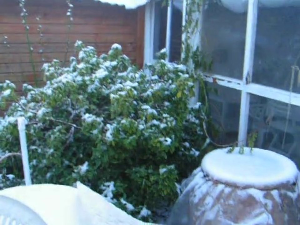 Neige du matin 03