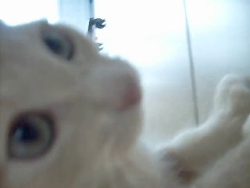 Oslo et Socrate à l'Attaque !