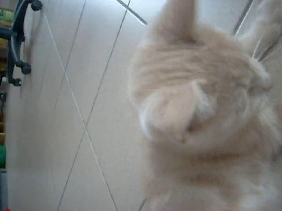 Socrate à l'Attaque !