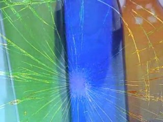 Familles témoins : leurs secrets pour jeter moins