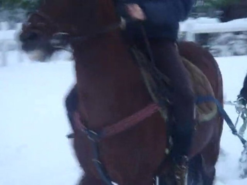 Ski-joering: Marionette et Magic Fanjo :D