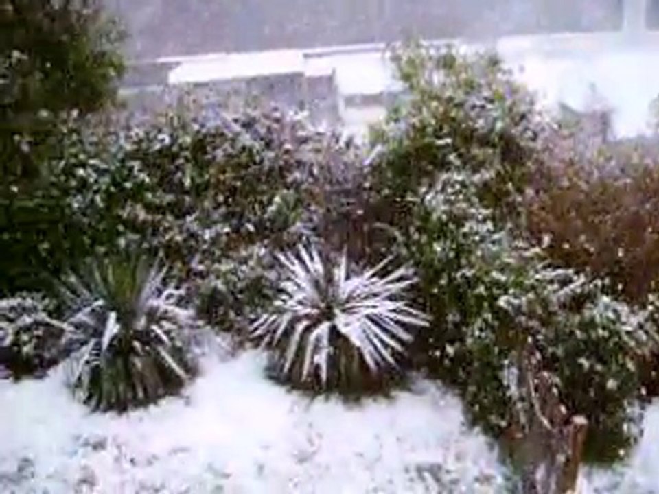 Photo2010 017