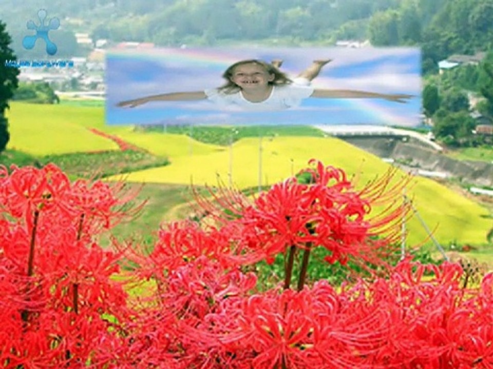 YİNE Mİ ÇİÇEK... SEZEN AKSU