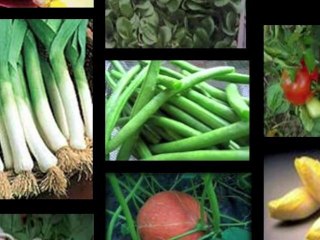 Intoxiqués par une étude sur l'alimentation ?