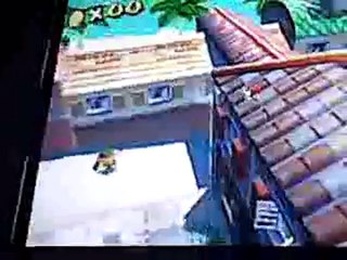 super mario sunshine bug