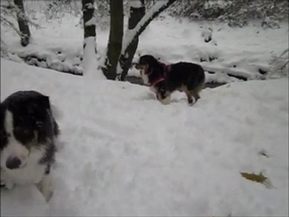 Neige 2.12.10