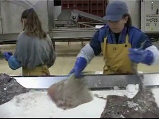 Deoditoo La Transformation des Aliments