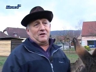 L'âne de Saint Nicolas est il alsacien ?