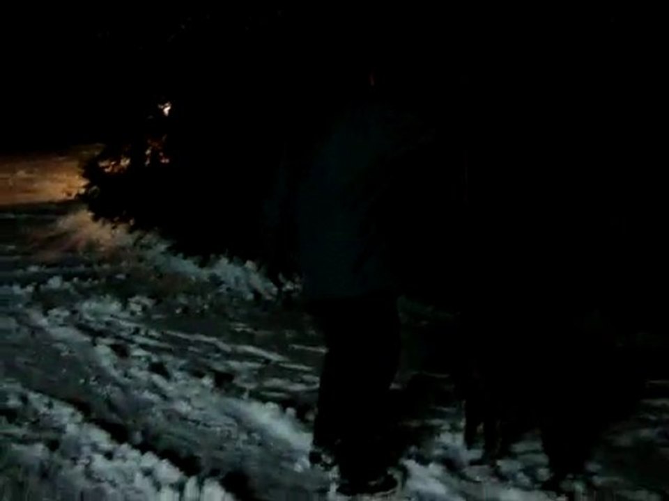 Cyra, 12 Wochen, beim Schnee schieben